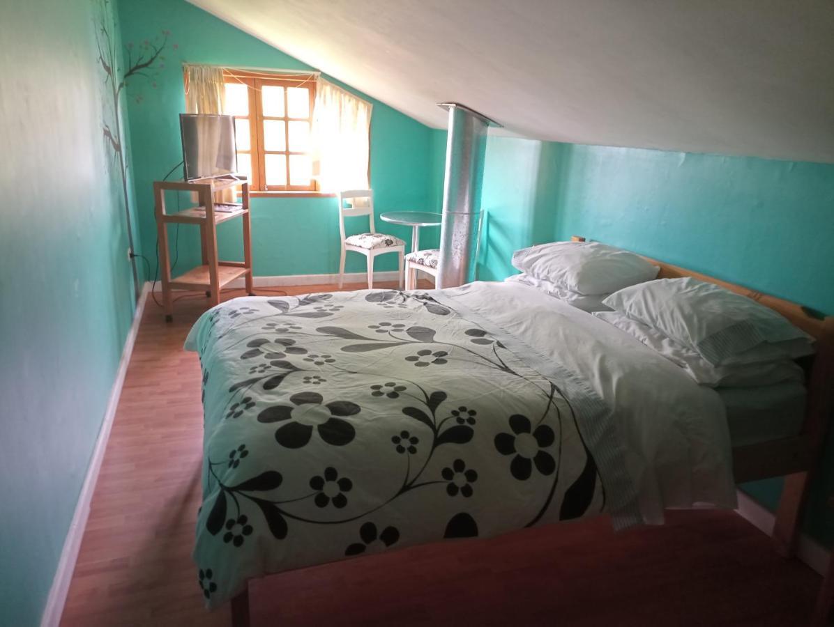 Omi Kika B&B Villarrica Bagian luar foto