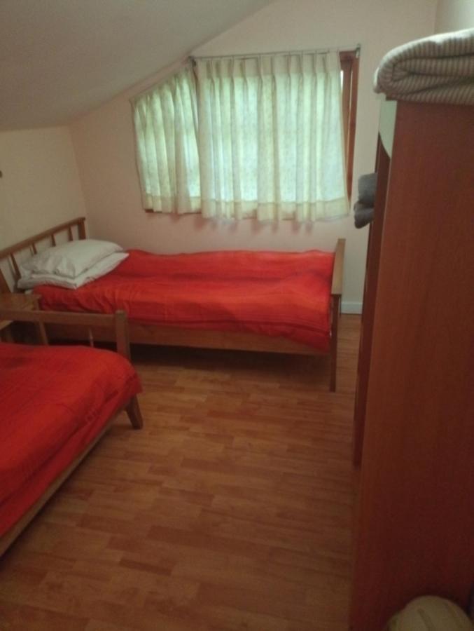 Omi Kika B&B Villarrica Bagian luar foto