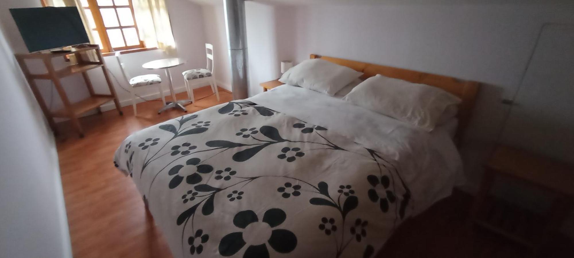 Omi Kika B&B Villarrica Bagian luar foto