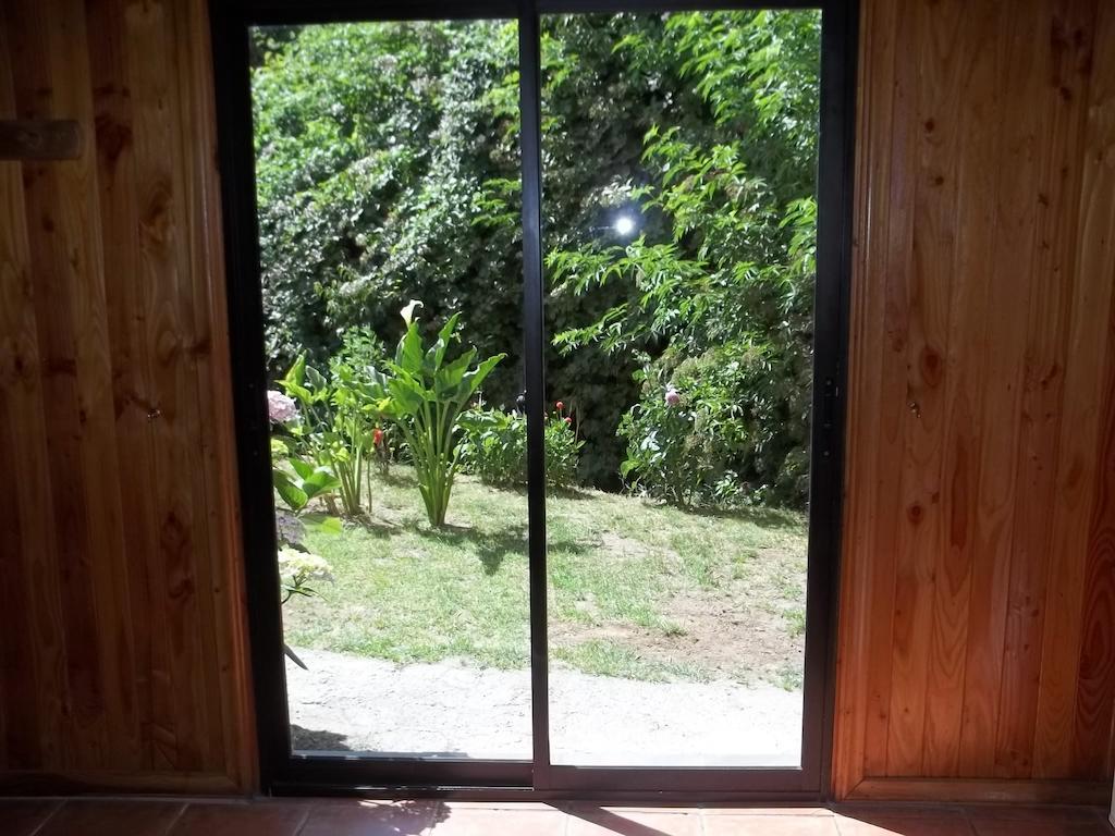 Omi Kika B&B Villarrica Bagian luar foto