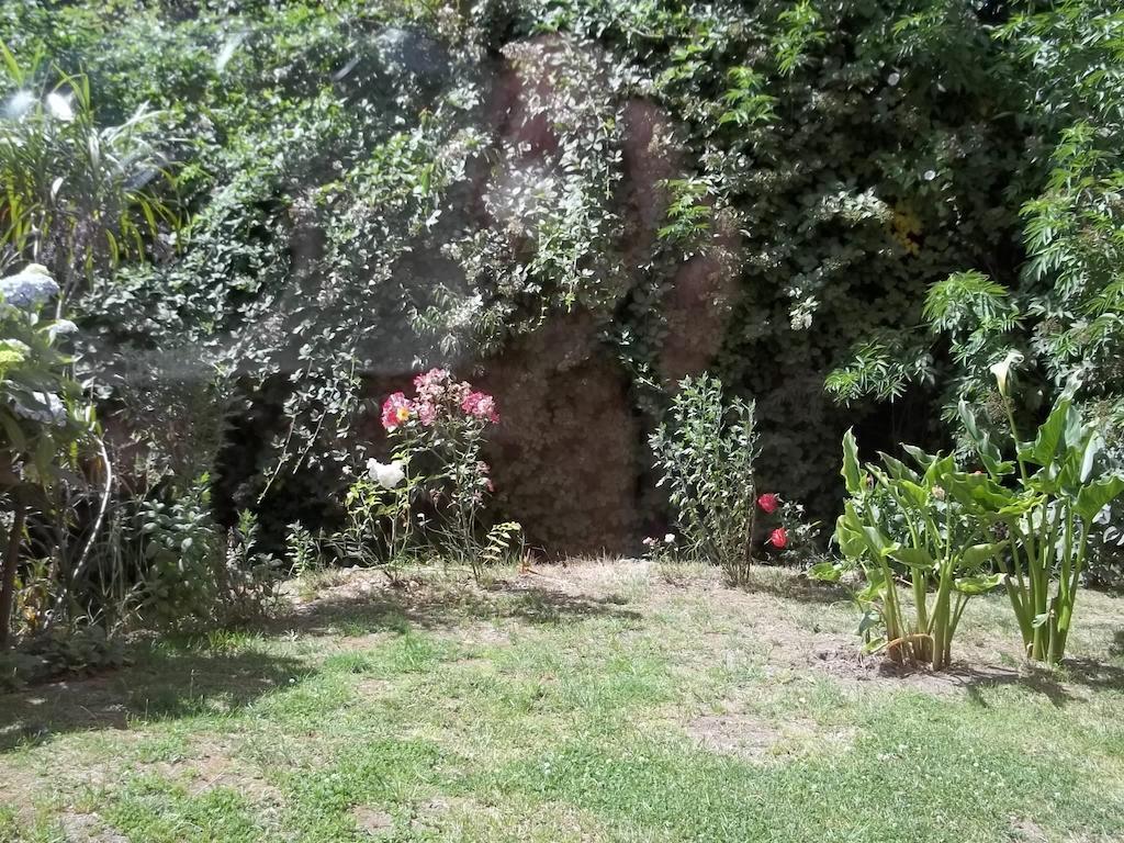 Omi Kika B&B Villarrica Ruang foto