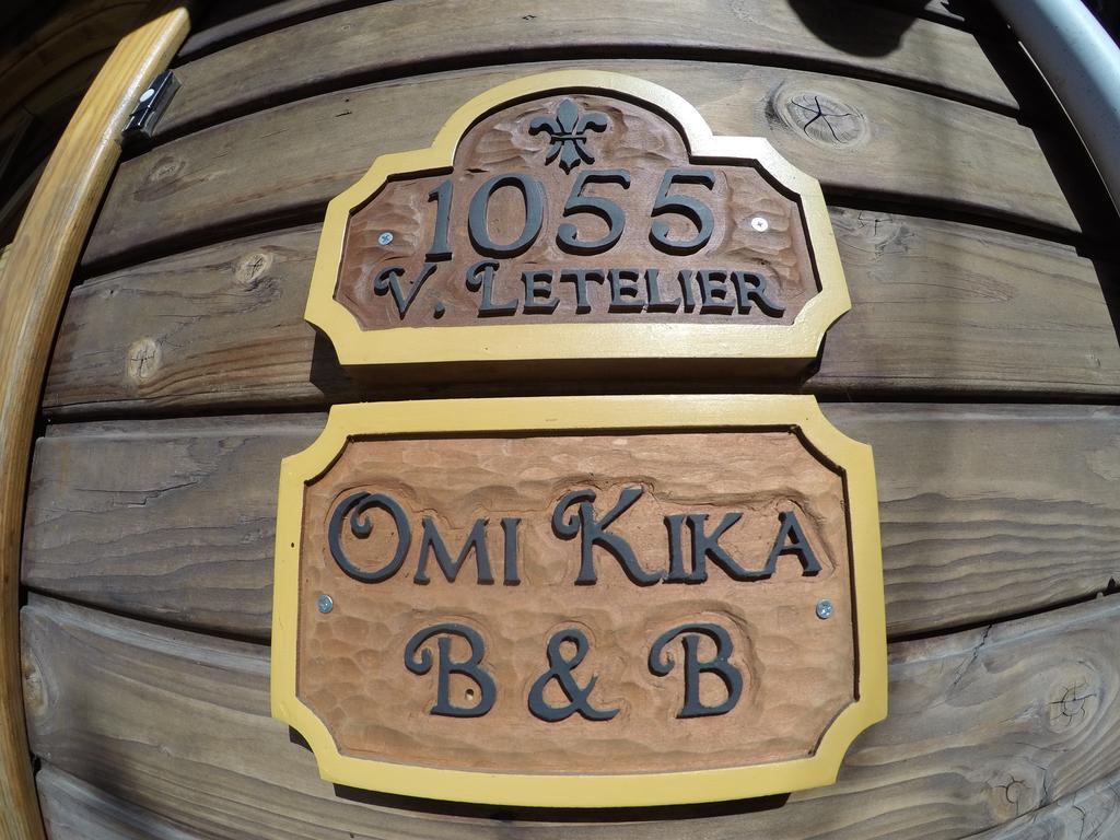 Omi Kika B&B Villarrica Bagian luar foto