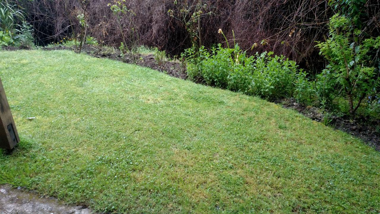 Omi Kika B&B Villarrica Bagian luar foto