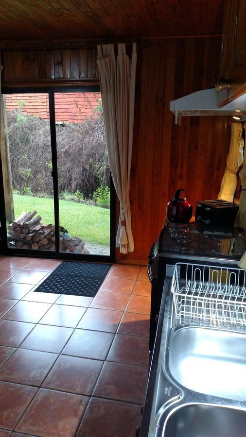 Omi Kika B&B Villarrica Bagian luar foto