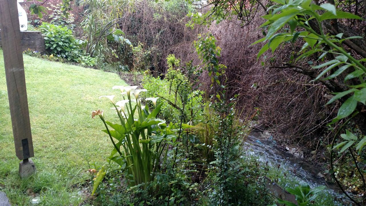 Omi Kika B&B Villarrica Bagian luar foto