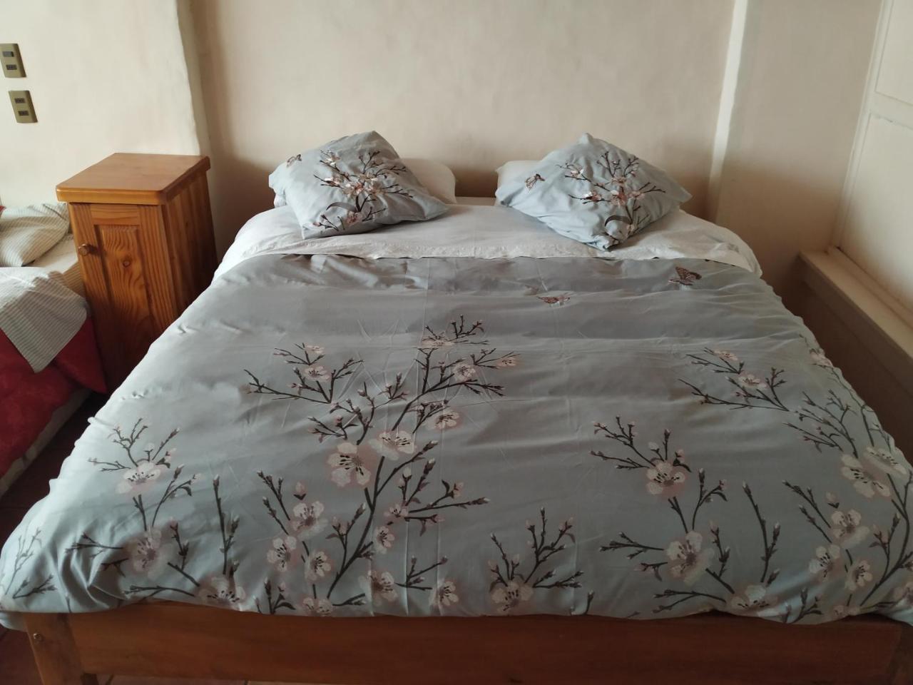 Omi Kika B&B Villarrica Bagian luar foto