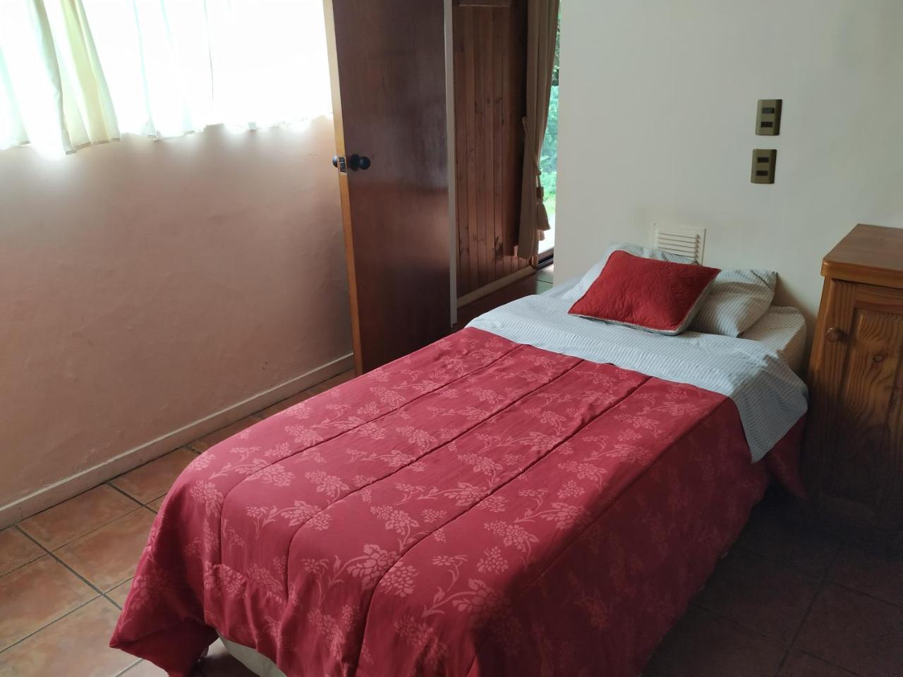 Omi Kika B&B Villarrica Bagian luar foto