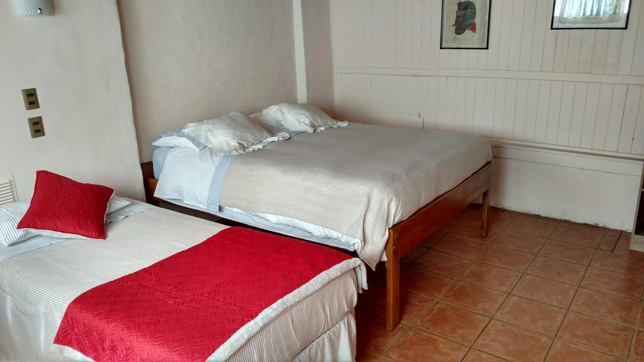 Omi Kika B&B Villarrica Bagian luar foto